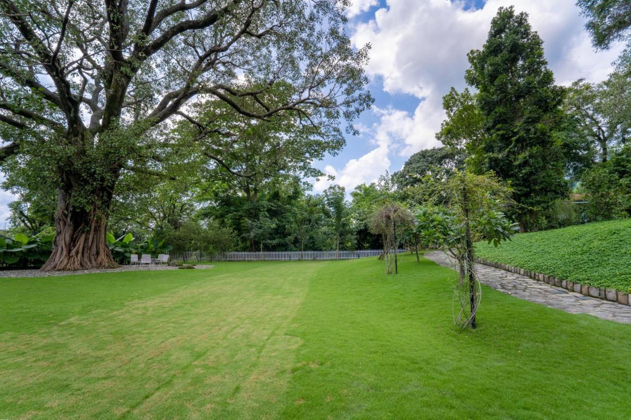 Lohonostays Ivy Cottage Dehradun Dış mekan fotoğraf